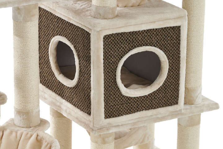 Nobby Kratzbaum Gadi